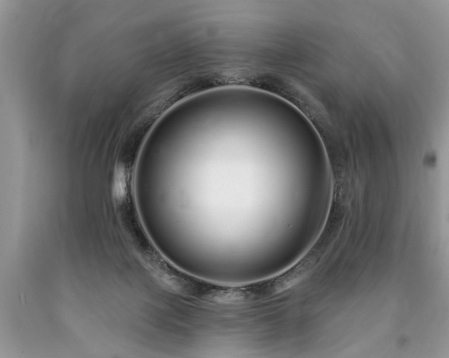 X0000090500075200707201556