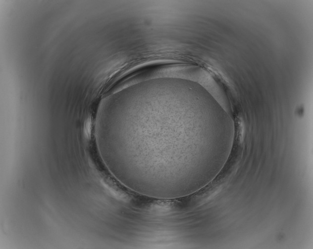 X0000090500076200707201556