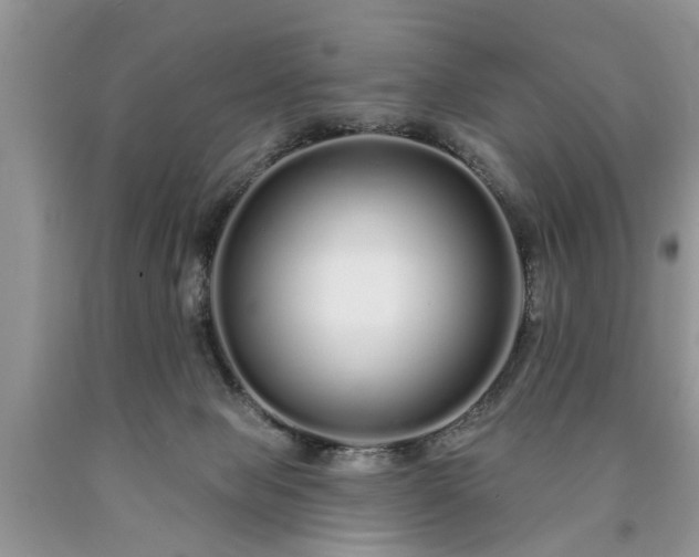 X0000090500077200707201556