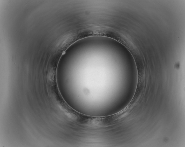 X0000090500078200707201556