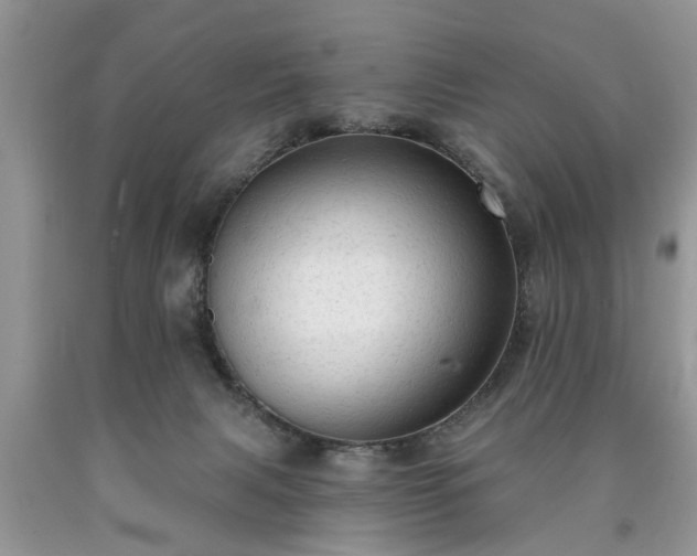 X0000090500079200707201556