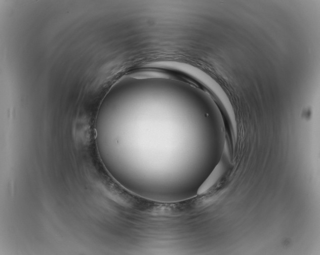 X0000090500080200707201556