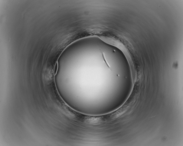 X0000090500081200707201556