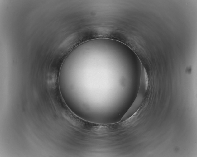 X0000090500082200707201556