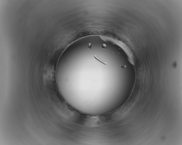 X0000090500083200707201556