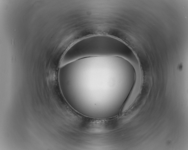 X0000090500084200707201556