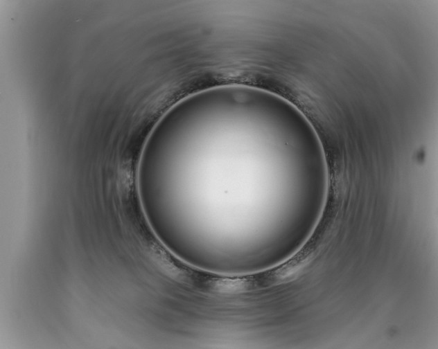 X0000090500085200707201556