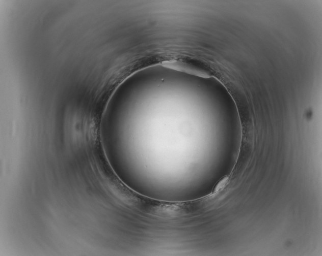 X0000090500086200707201556