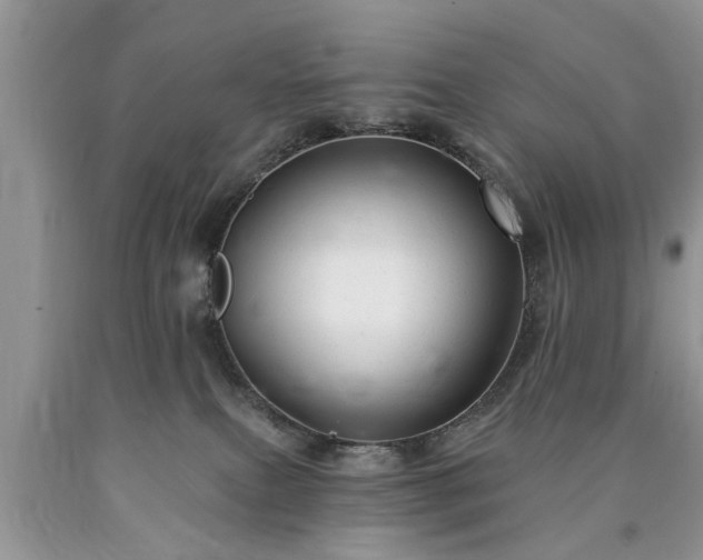 X0000090500087200707201556