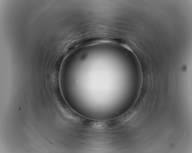 X0000090500088200707201556