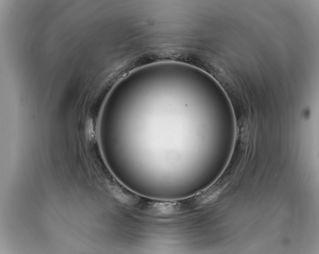 X0000090500089200707201556