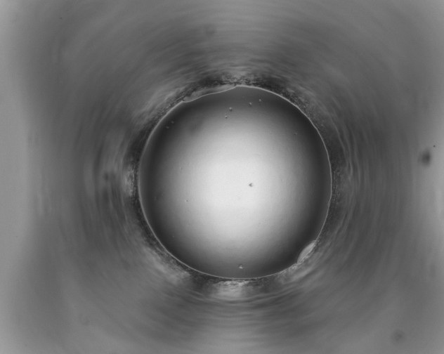 X0000090500090200707201556