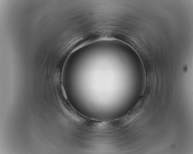 X0000090500092200707201556