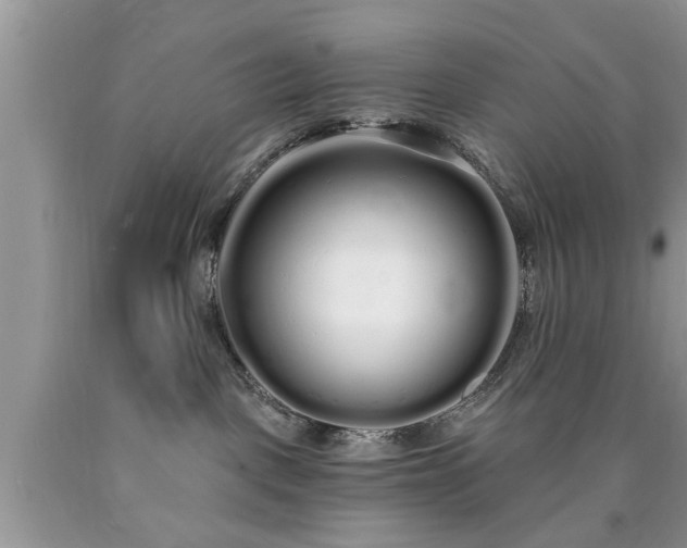 X0000090500093200707201556