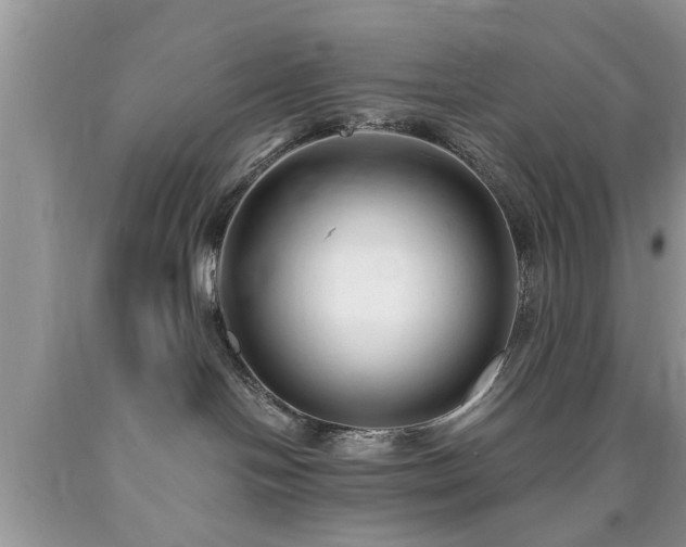 X0000090500094200707201556