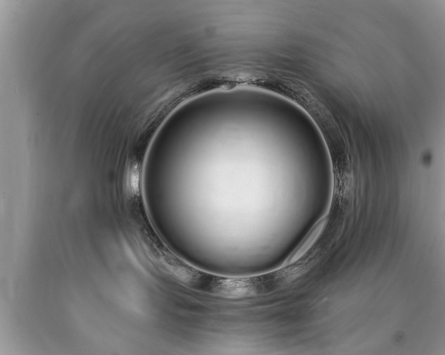 X0000090500095200707201556