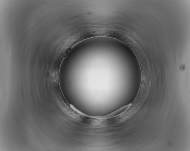 X0000090500096200707201556