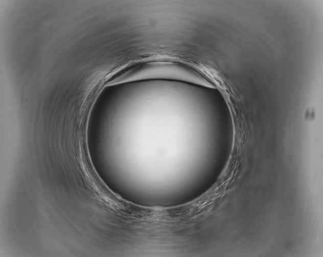 X0000090500097200707201555