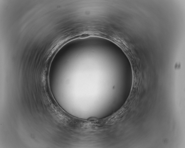 X0000090500098200707201555