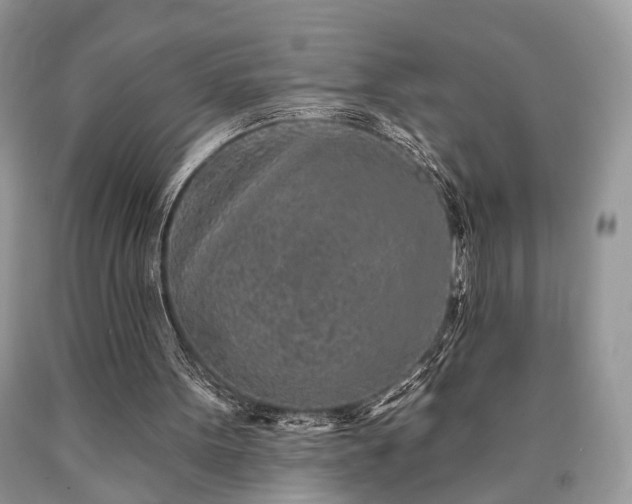 X0000090500099200707201555