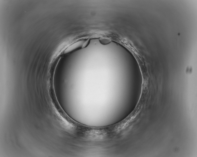 X0000090500101200707201555