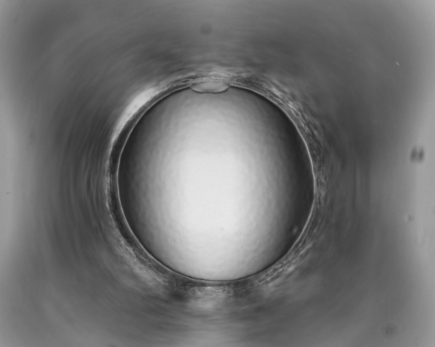 X0000090500102200707201555