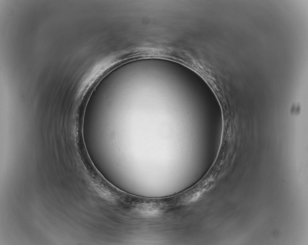 X0000090500103200707201555