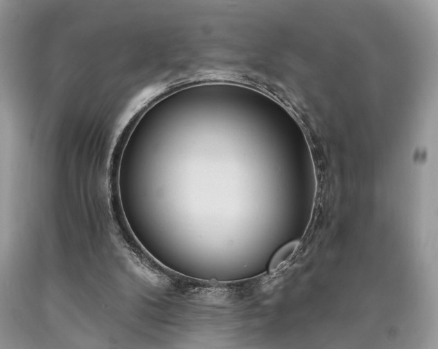 X0000090500104200707201555