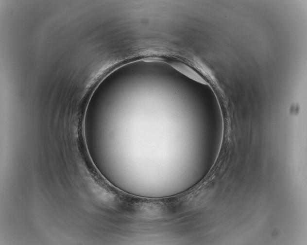 X0000090500106200707201555