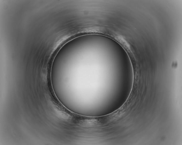 X0000090500108200707201555