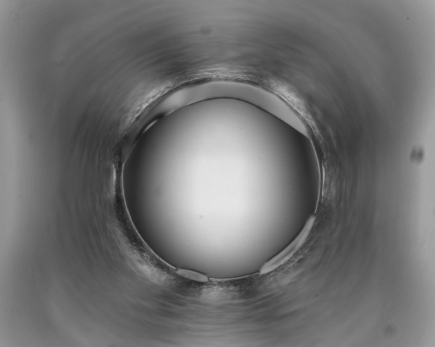 X0000090500109200707201555