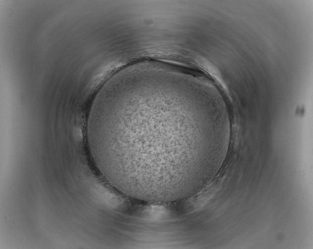 X0000090500114200707201555