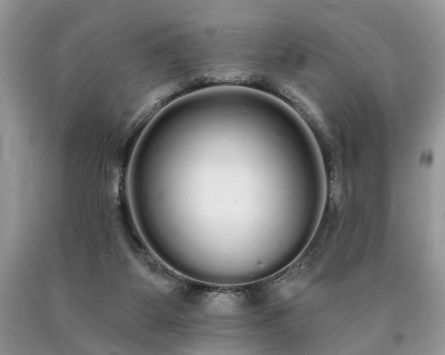 X0000090500115200707201555