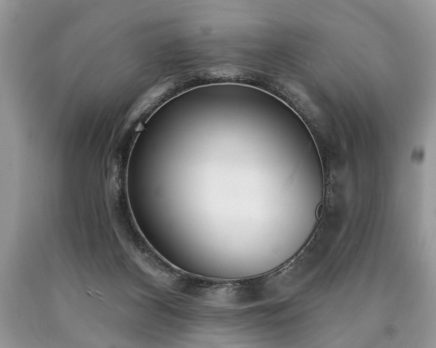 X0000090500116200707201555