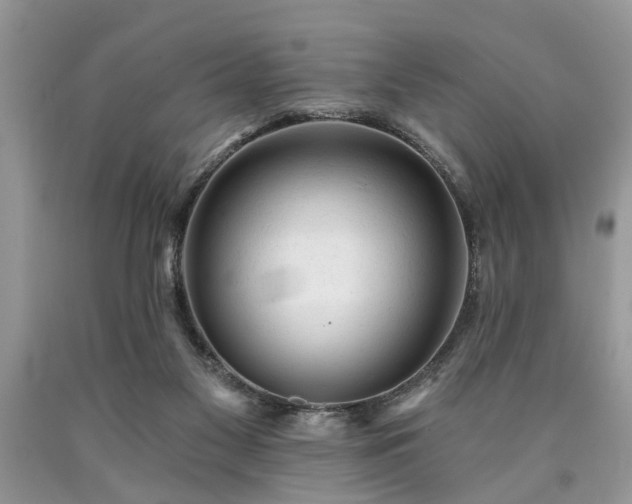 X0000090500117200707201555