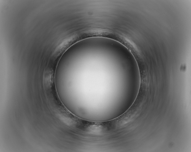 X0000090500119200707201555