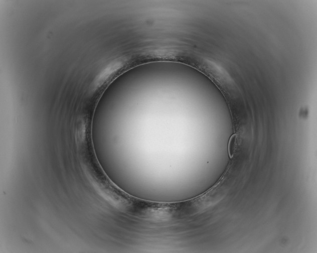 X0000090500120200707201555