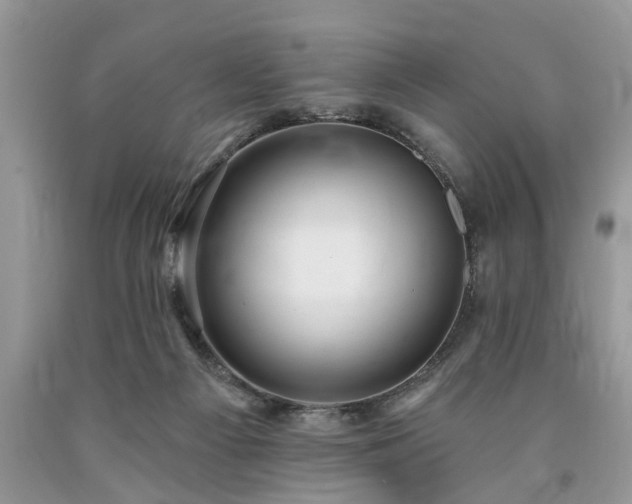 X0000090500121200707201555