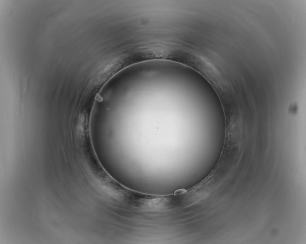 X0000090500122200707201555