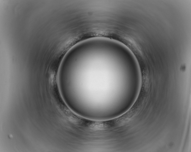 X0000090500123200707201555