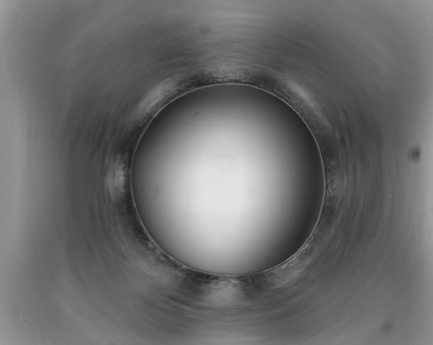 X0000090500124200707201555