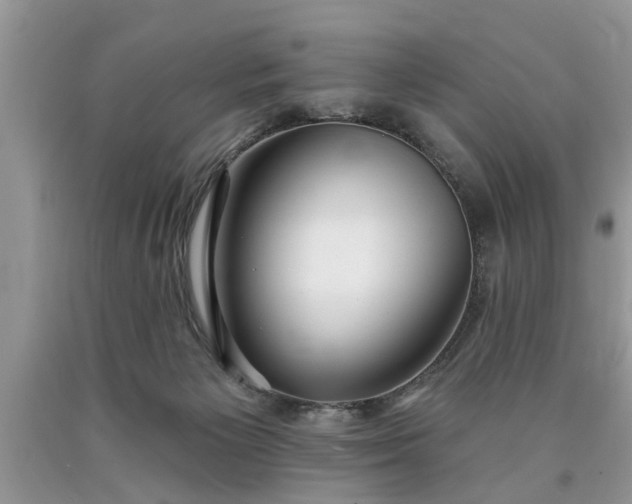 X0000090500125200707201555