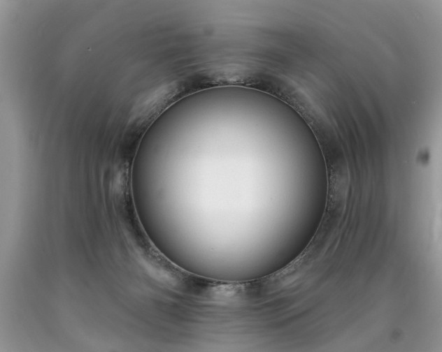 X0000090500126200707201555