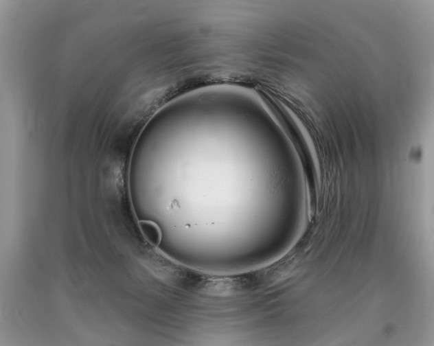 X0000090500127200707201555