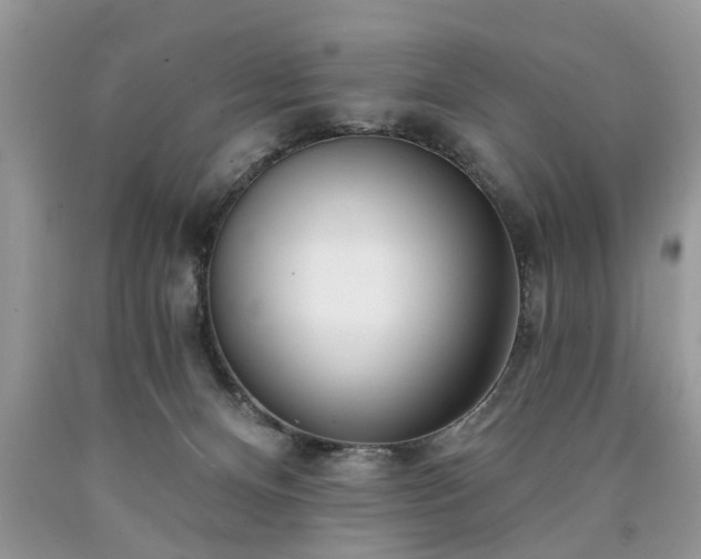 X0000090500128200707201555