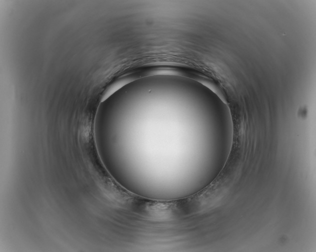 X0000090500129200707201555