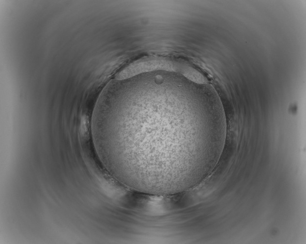 X0000090500130200707201555