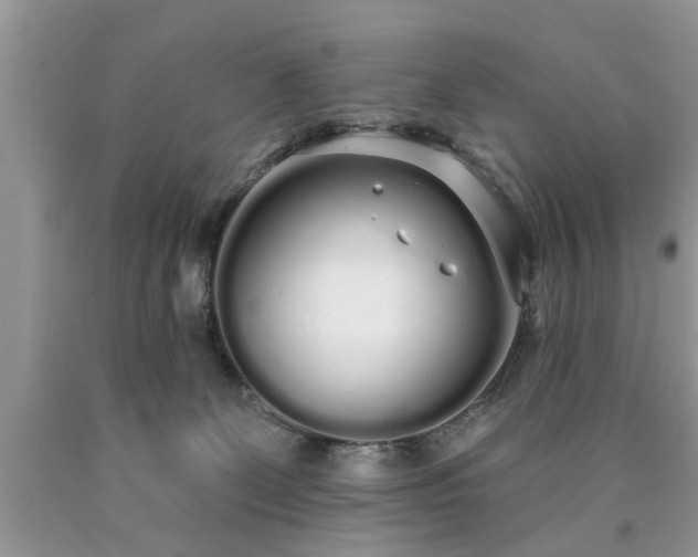 X0000090500131200707201555