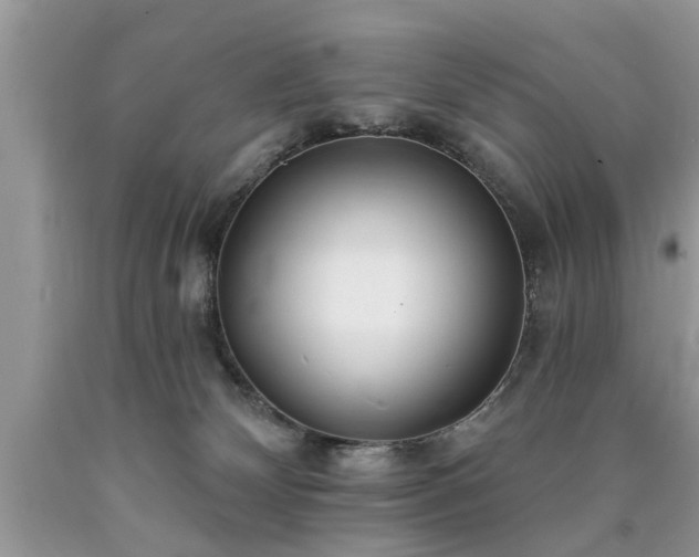 X0000090500132200707201555