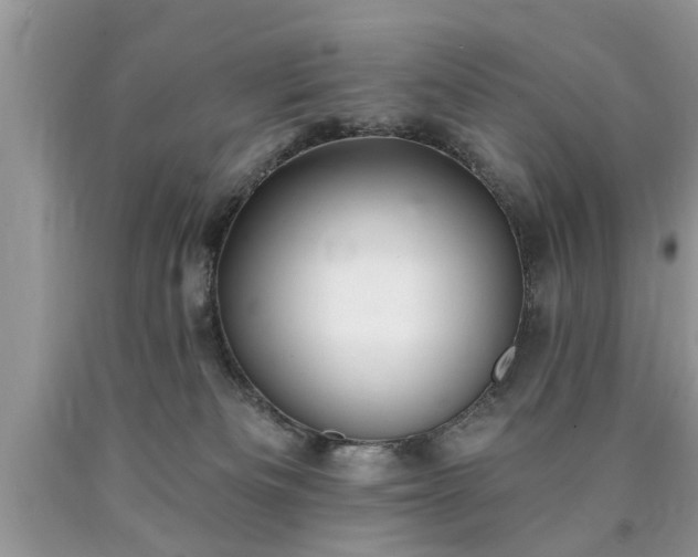 X0000090500133200707201555